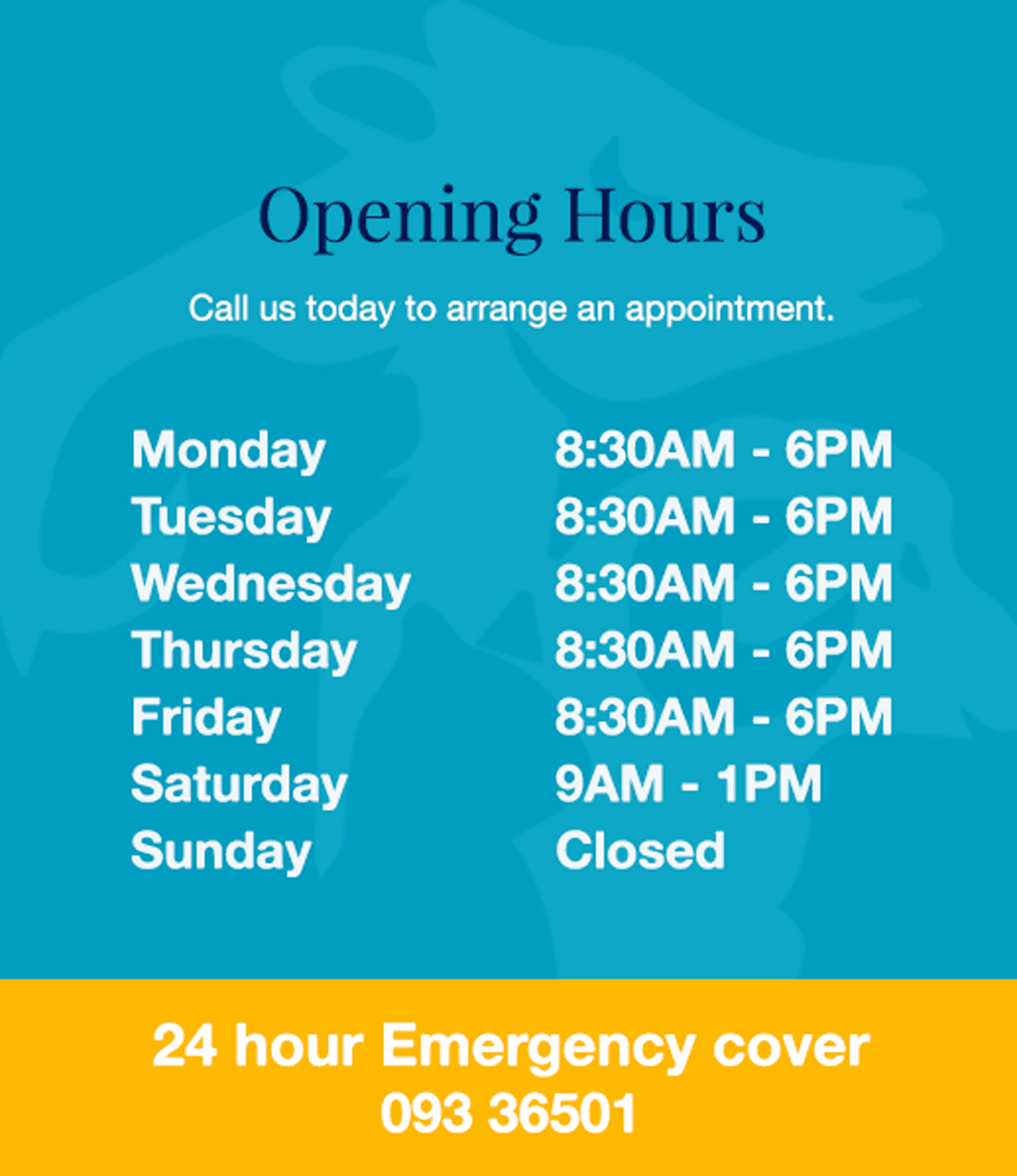 Divilly Veterinary Clinic Opening Hours