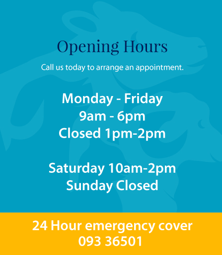 divillyveterinaryclinic_openinghours